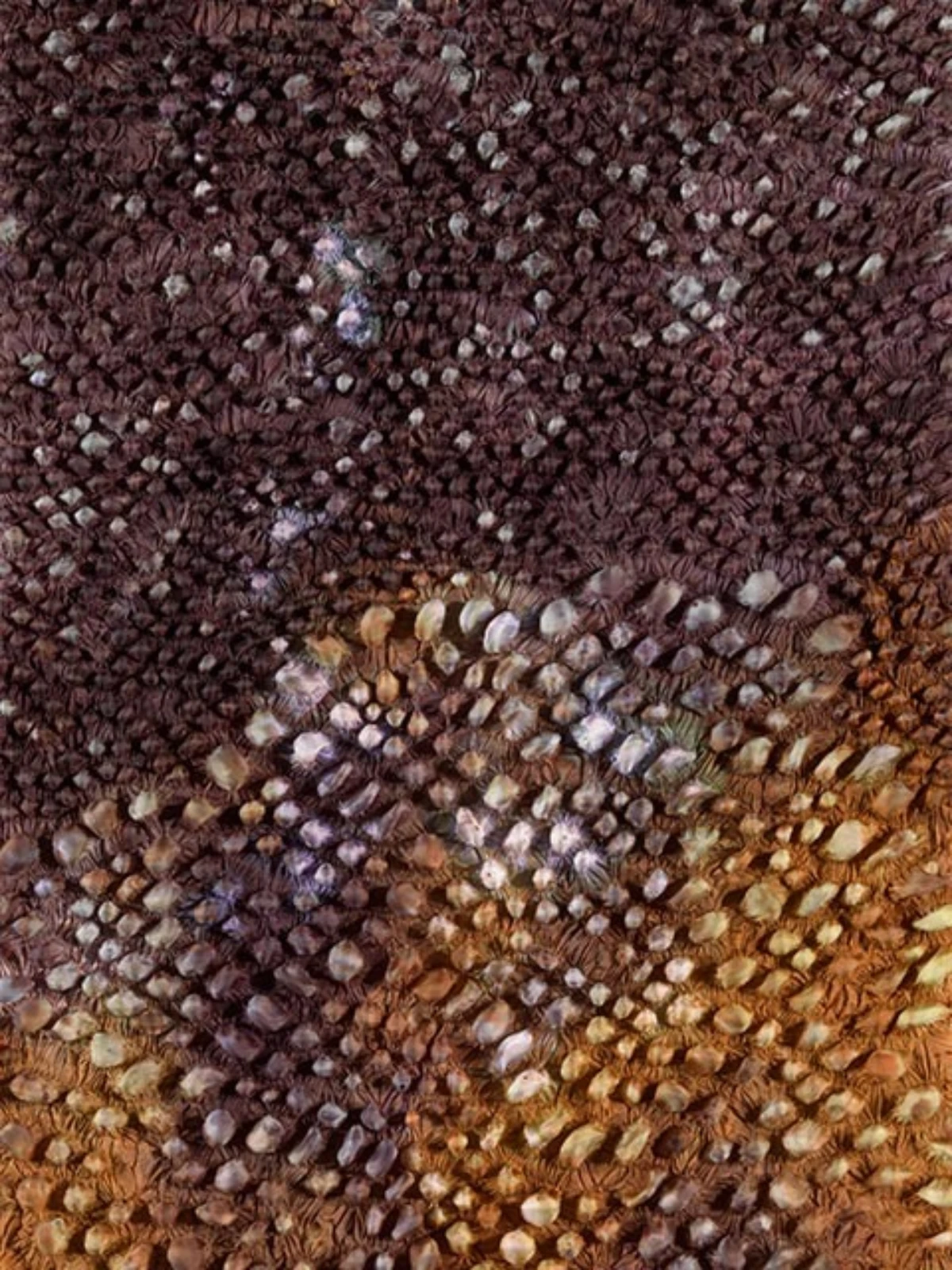 Hommages aan Japan Shibori