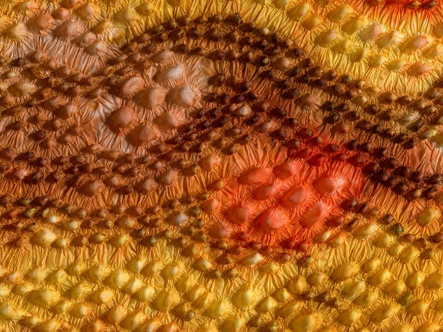 Hommages aan Japan Shibori — foto 5