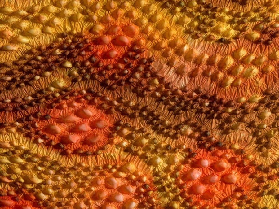 Hommages aan Japan Shibori — foto 6
